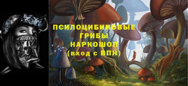 а пвп мука Рославль