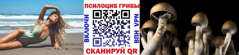 Купить закладки Ужур Псилоцибиновые грибы GOLDEN TEACHER