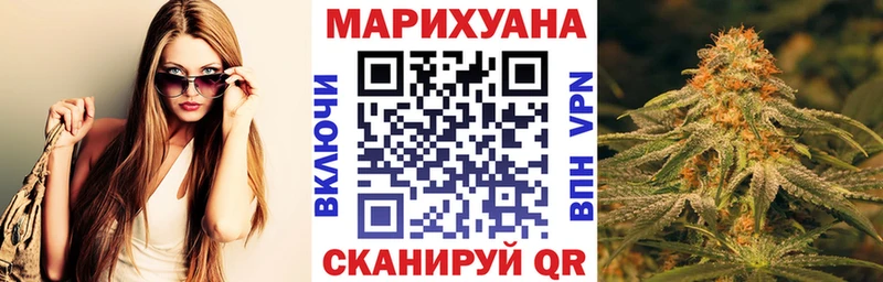 Бошки Шишки план  Купить  Ужур 